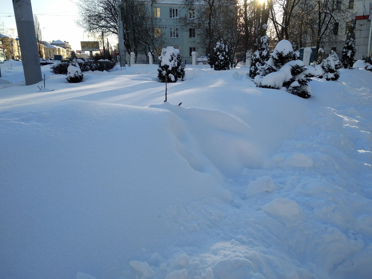 мою любимую ёлочку замело - одна верхушка торчит) мело двое суток)