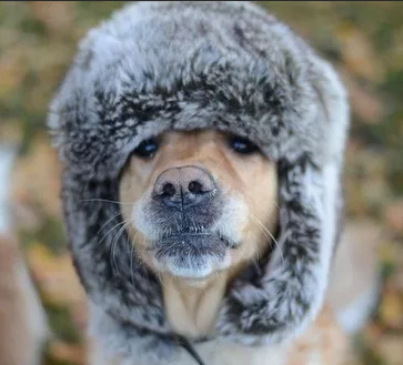 Наша (жизнь) служба и опасна и трудна)))