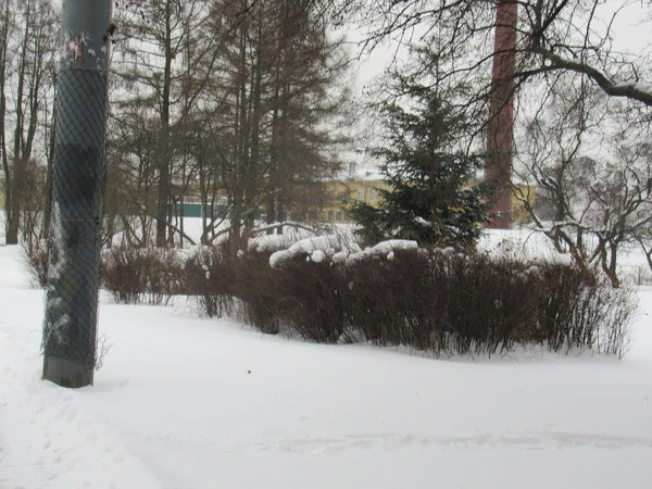 В этом году у нас в Петербурге февраль разбушевался снегом. Столб стоит  на дороге!! В саду где мы гуляем.. А вот так выглядит убранный от снега проспект: