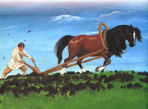 Взято из интернета