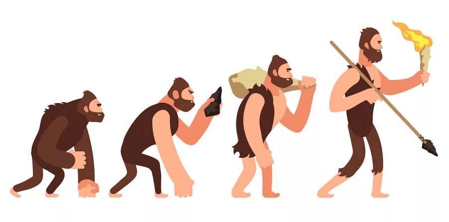 Эволюция человека