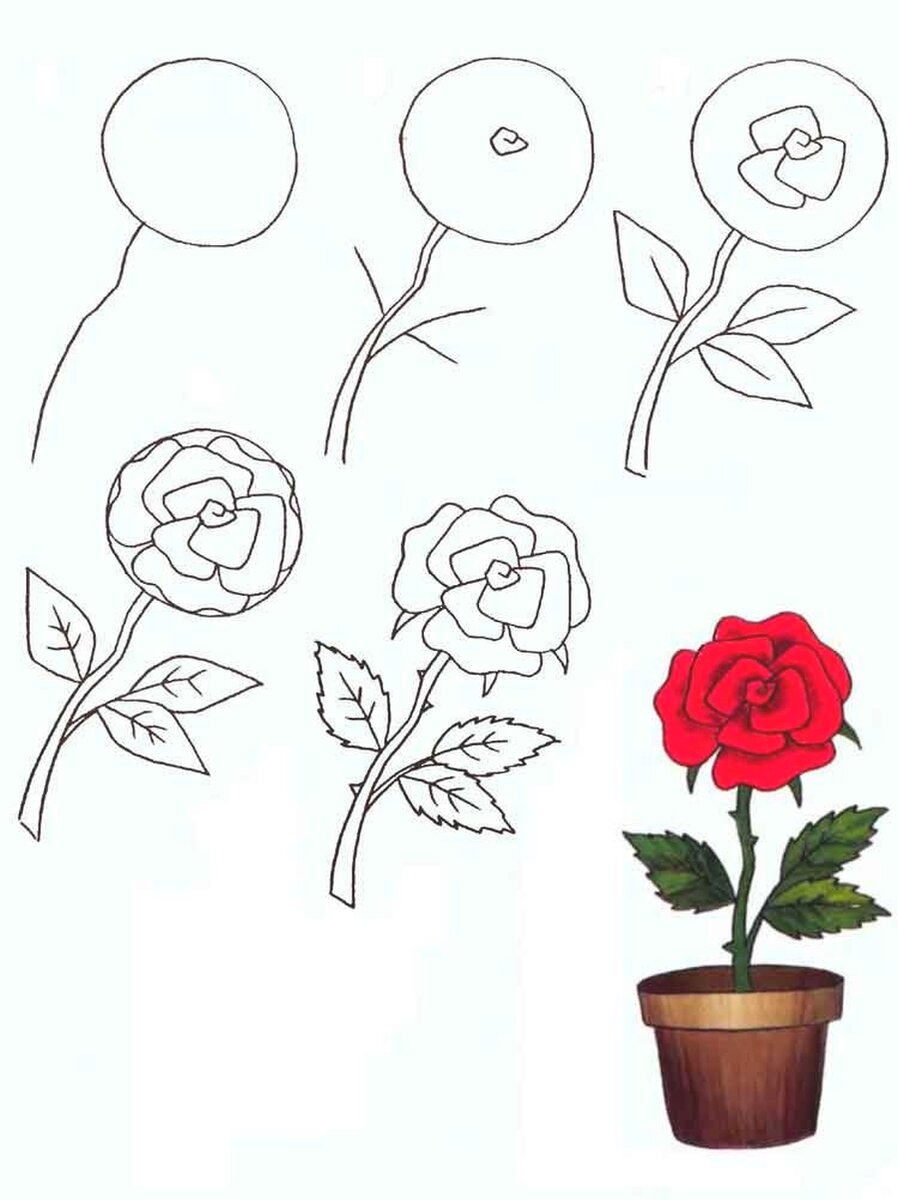 Как нарисовать цветы (поэтапно)
