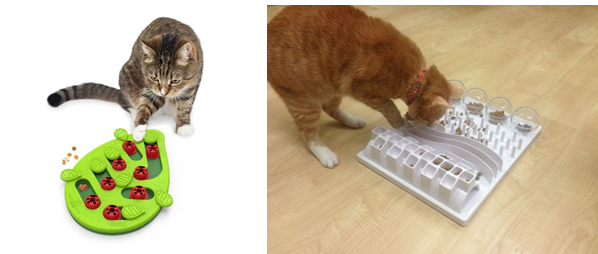 Пищевые головоломки для кошек