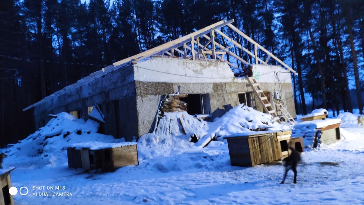 Вот уже готов каркас