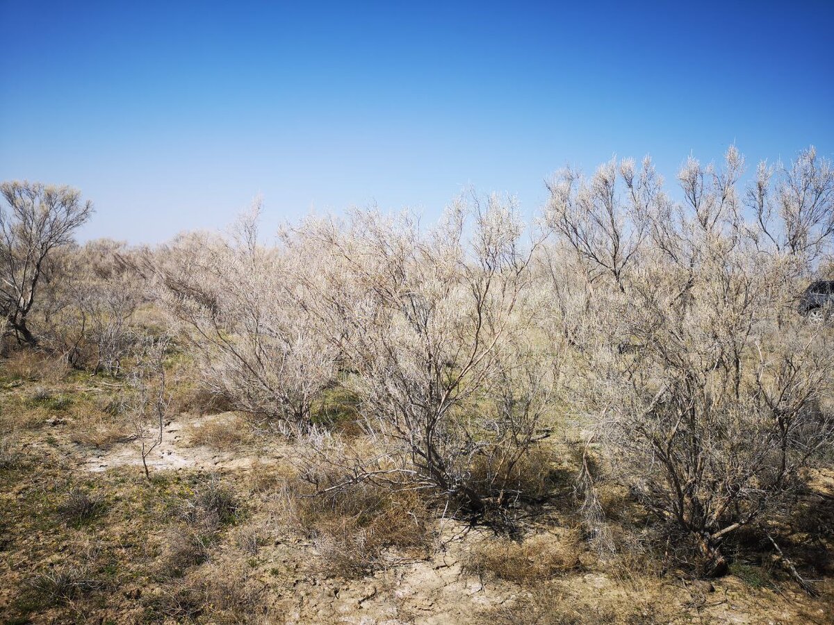 Фото: Гороскопы, Приметы, Советы