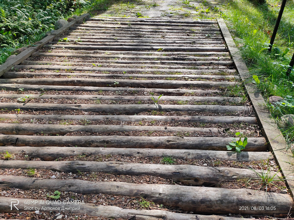 Бревенчатая дорога