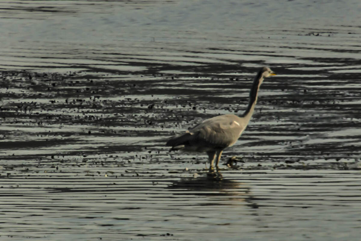 обзор с высока