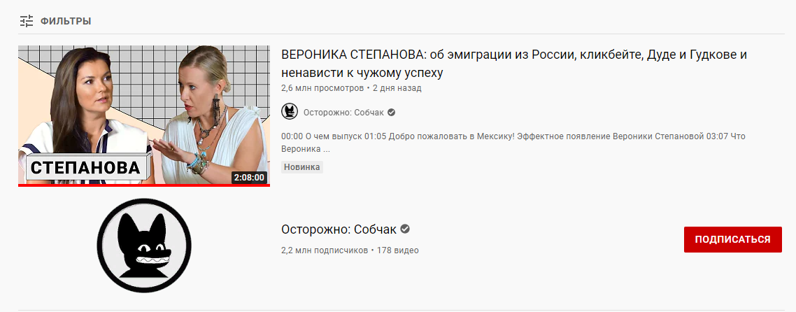 Страница с интервью на видеохостинге YouTube. Скриншот сделан автором канала