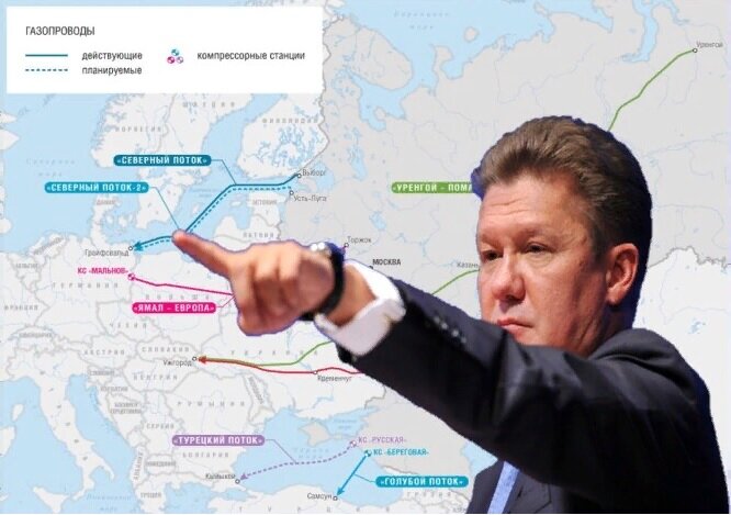 Покупайте в США!