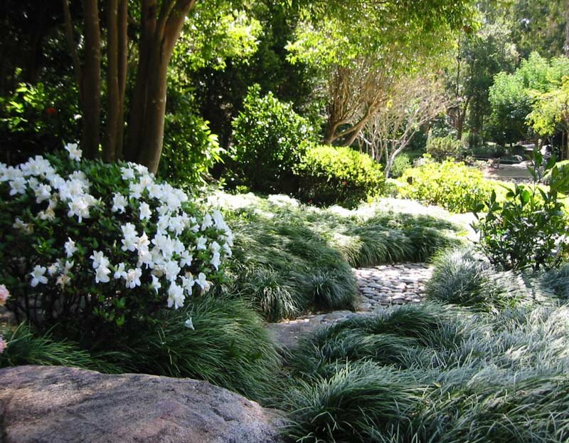 Гортензия натургарден. Белый дом с садом. Моносады в ландшафтном дизайне. Монохромный сад. Монохромный сад англия.