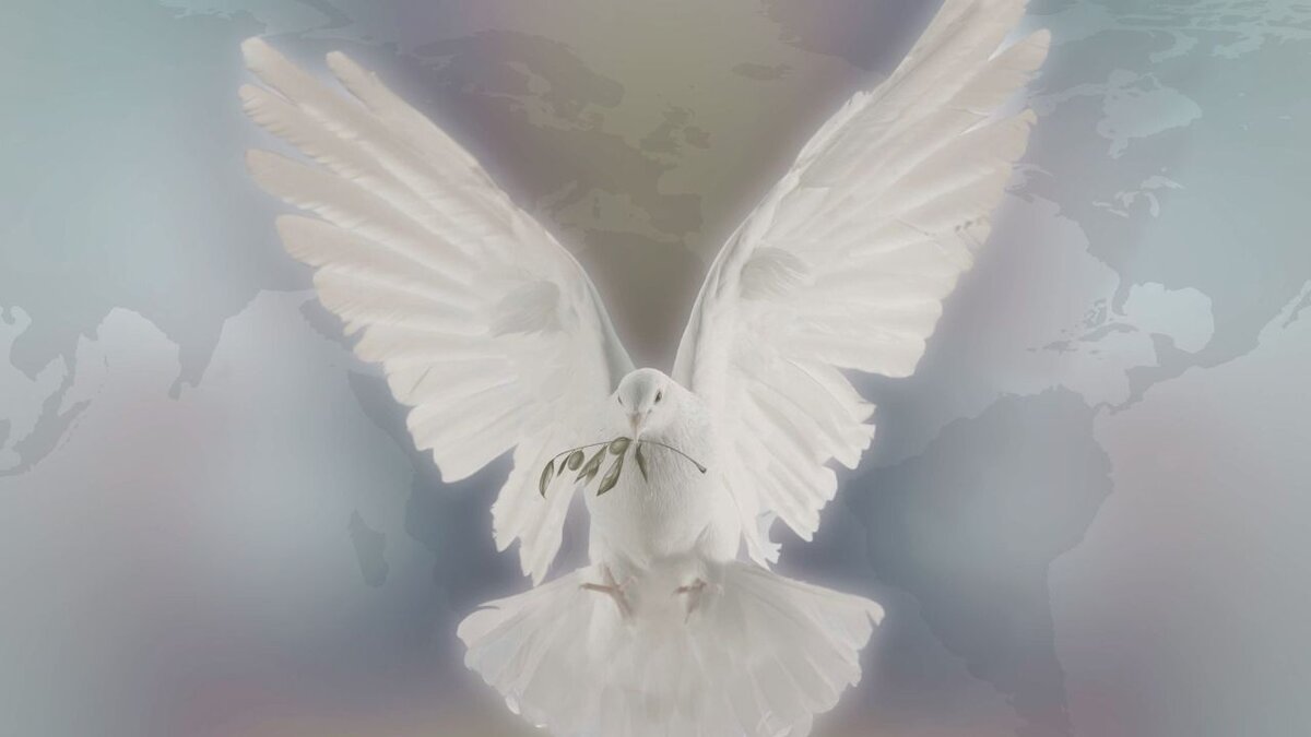 душа, ангелы, подсказки вселенной, саморазвитие