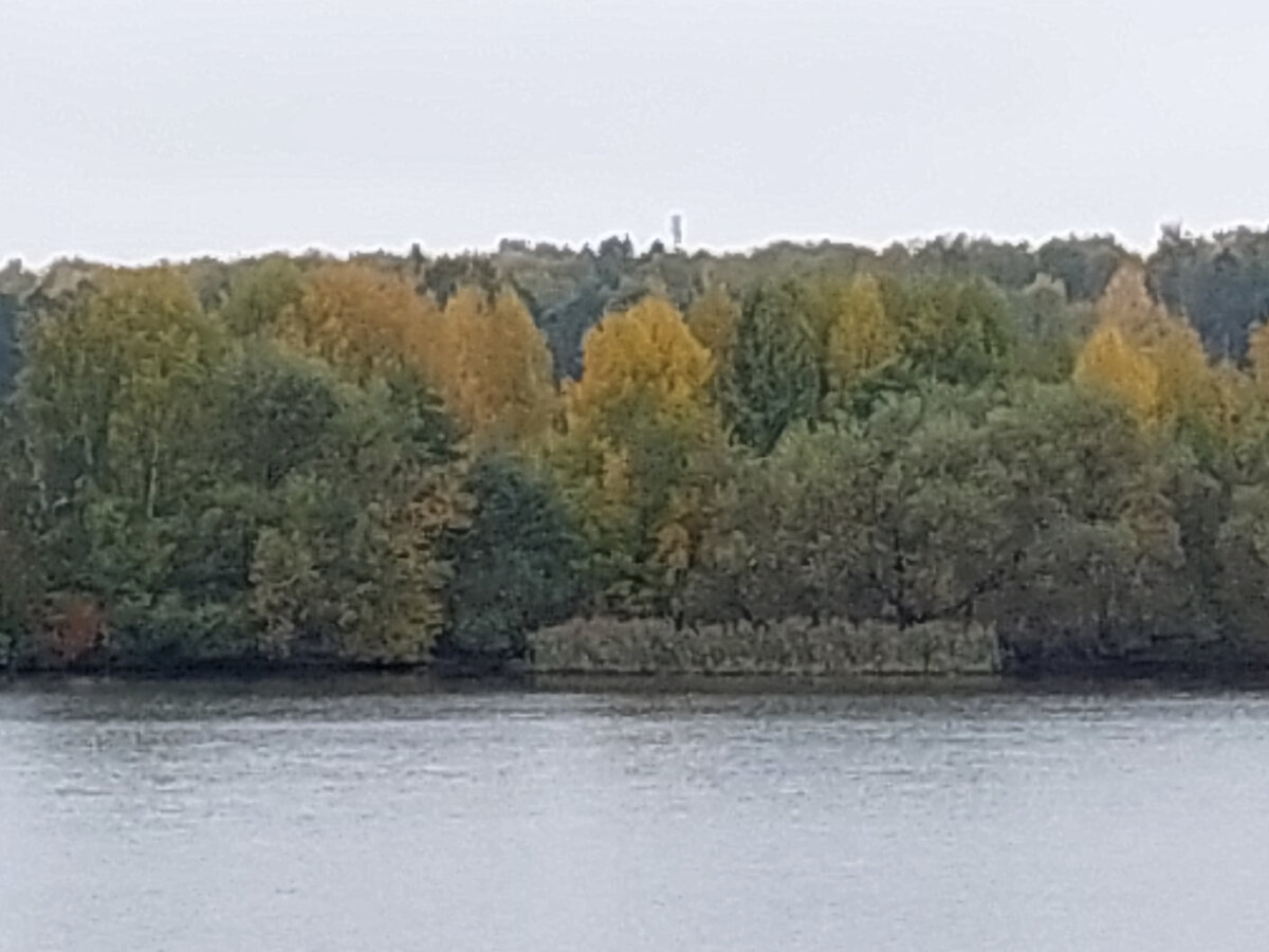 Фото автора. Тверская область, Кимры. Золотая осень на левом берегу Волги.