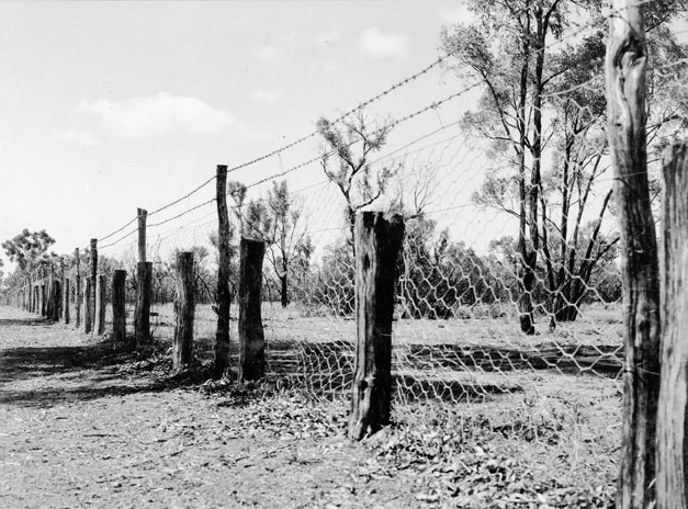 © Wikipedia Commons / public domain (Забор в 1952 году)