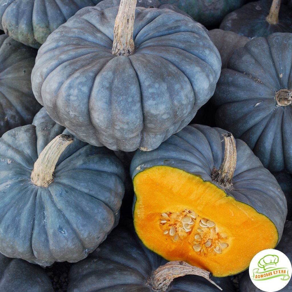 Пример синей тыквы. А вы знали, что такая тыква существует?