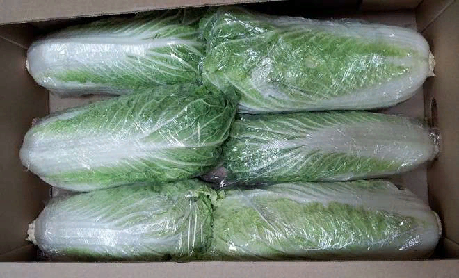 Регулировать влажность в помещении поможет вентиляция и ведро с водой