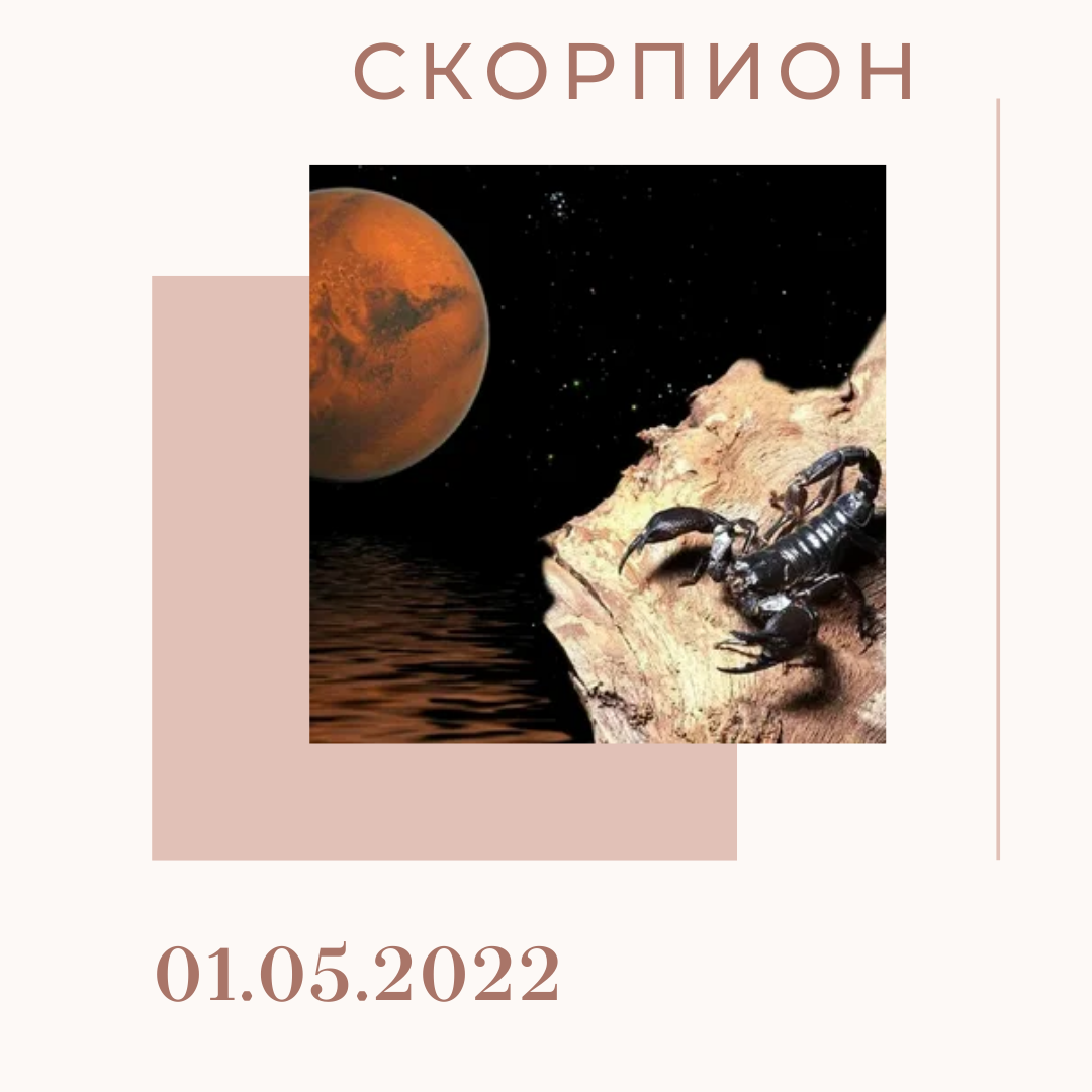 Скорпион - 01.05.2022