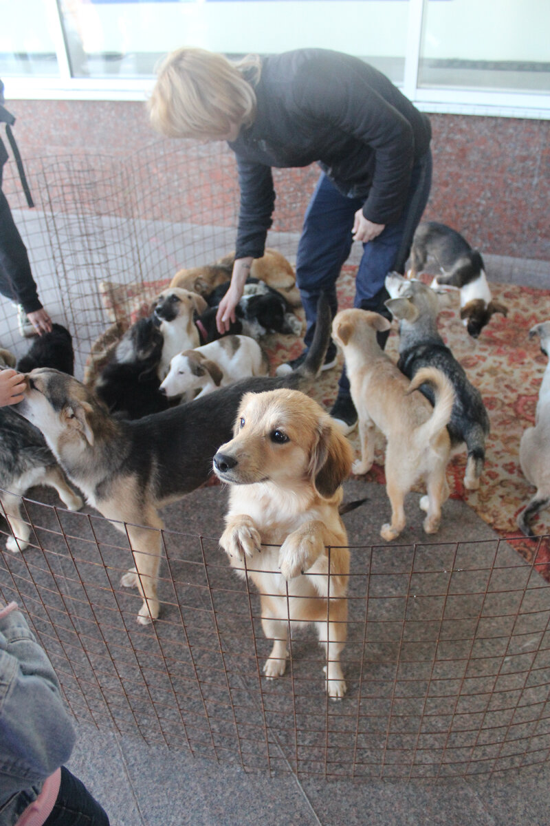 Хочу познакомиться с тобой! 