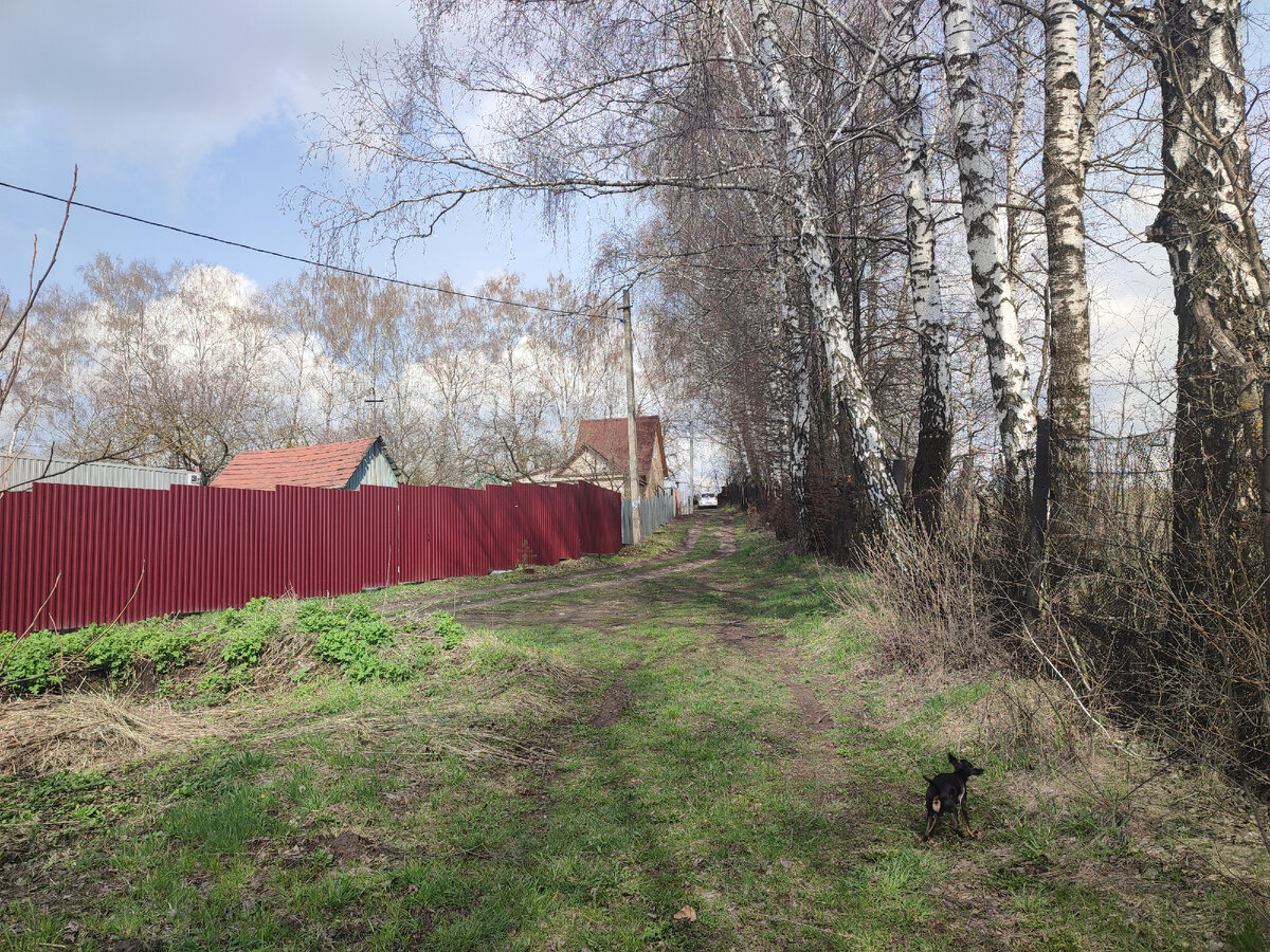 Всё зеленеет, очень люблю такую пору. 