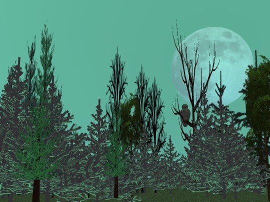 Серая неясыть на фоне Луны. Рисунок по памяти из Галого Бора.