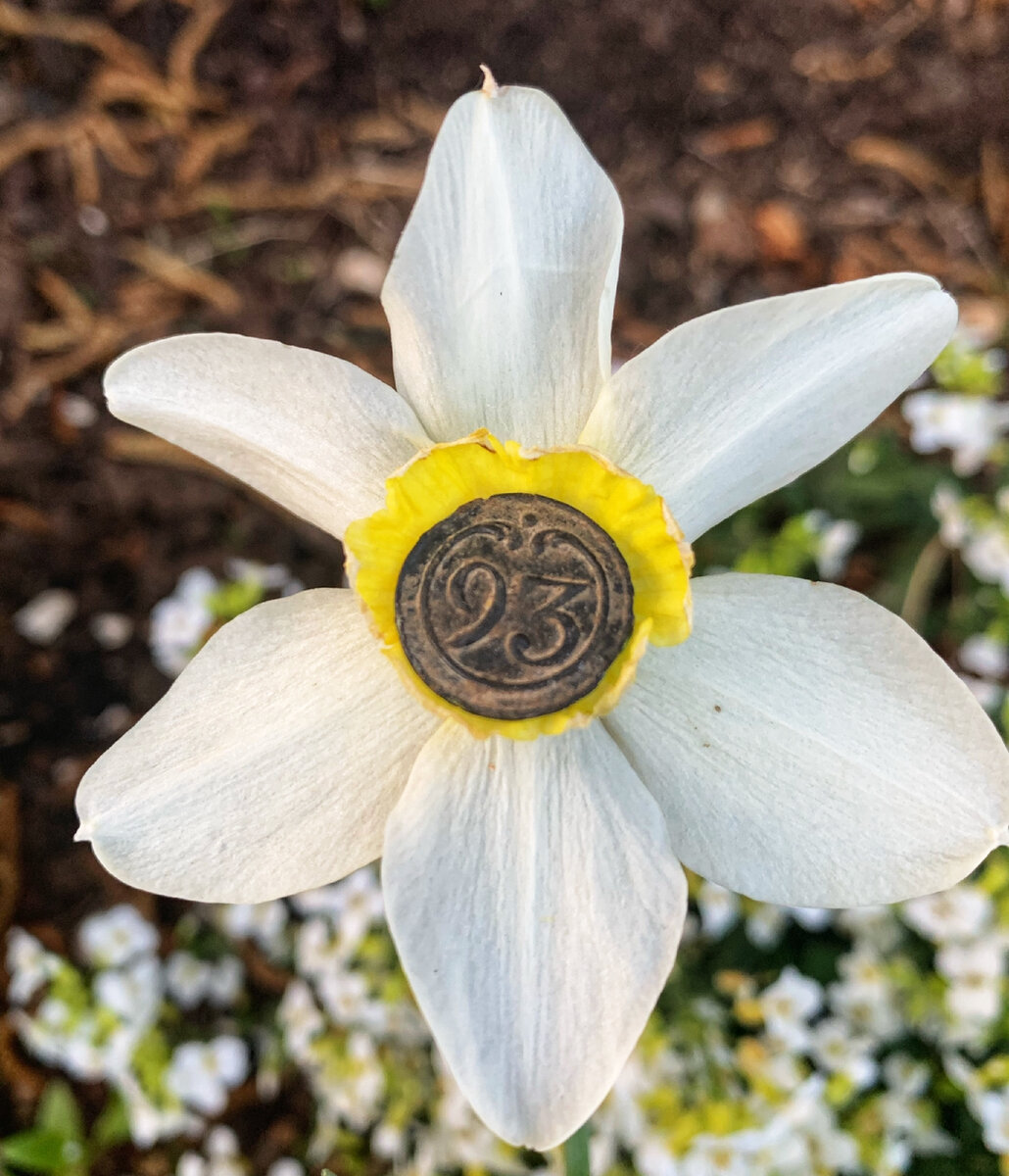 Занимательная героиня сегодняшнего рассказа: пуговка с мундира французского солдата 1812 года