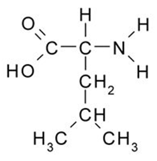 Яндекс.Картинки