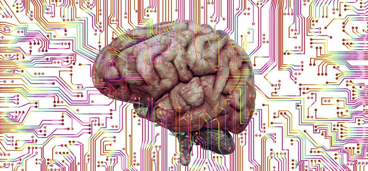 7 способов улучшить концентрацию внимания и память [подтверждено наукой]