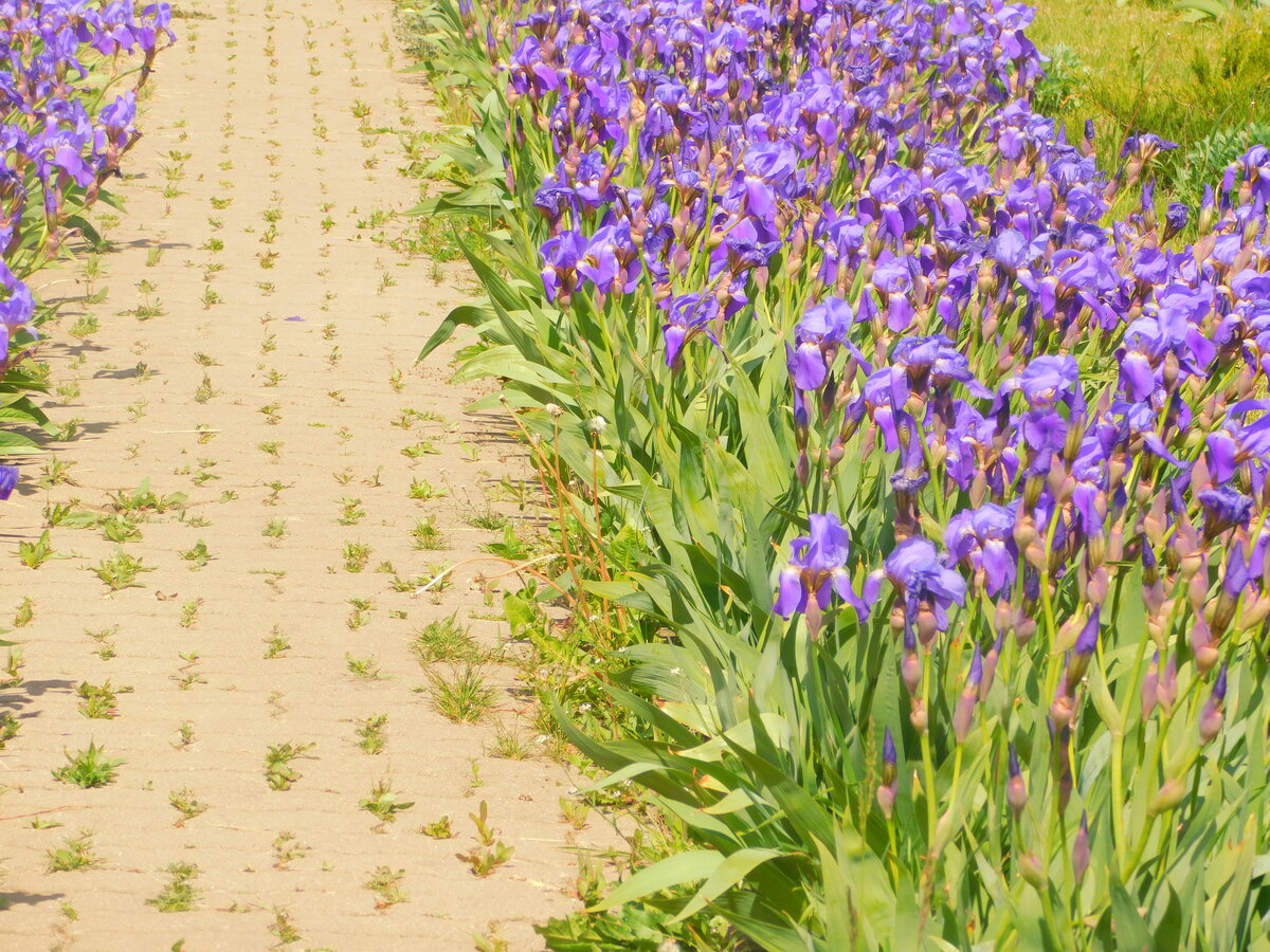 Фото автора канала