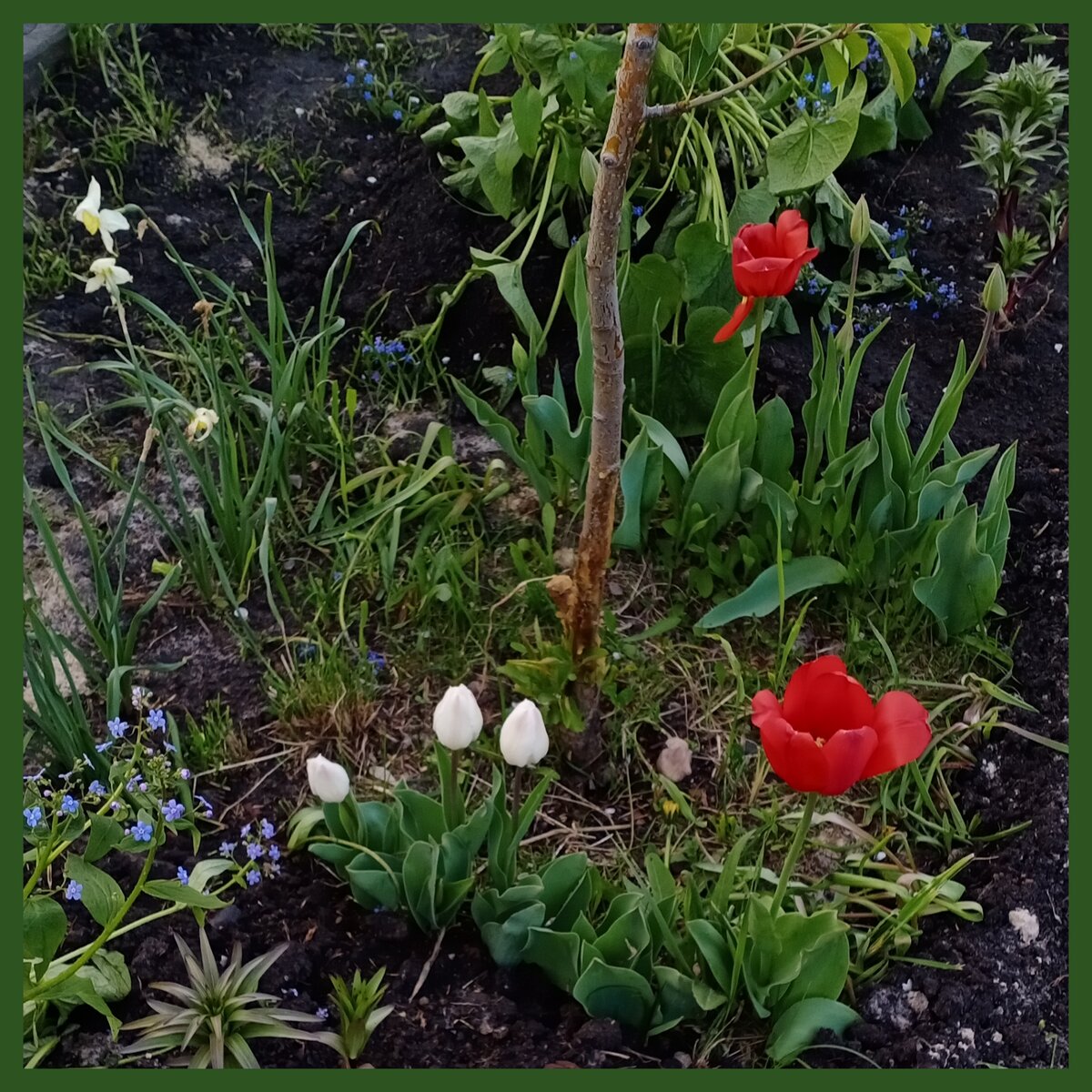 Счастье, любовь, радость, ласку и нежность невозможно купить за деньги, они рождаются в душе и взращиваются как цветы. 