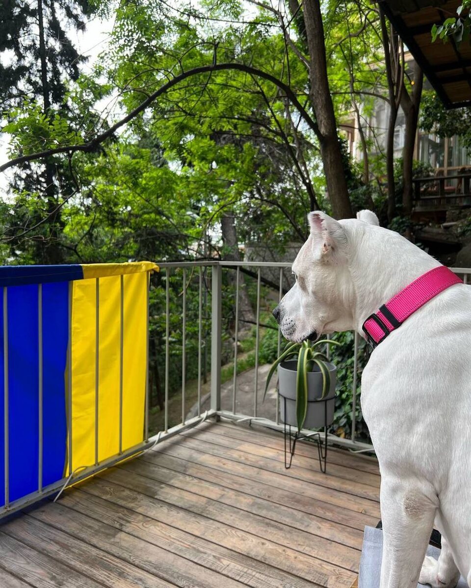 Источник фото — mk.ru