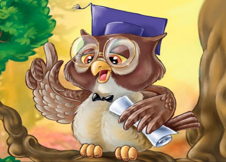 Сова. Из открытых источников в моей обработке