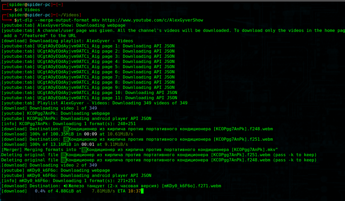Программа увидела, что на канале 349 видеороликов и сама начала качать, начиная с самого свежего