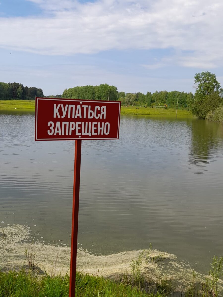 Купание запрещено картинки