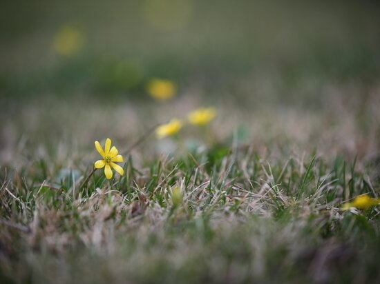     © Фото: ИД «Волгоградская правда» / Кирилл Брага