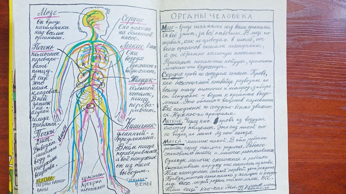 Здоровый образ жизни - Детский сад №2 ук-пересвет.рфвки