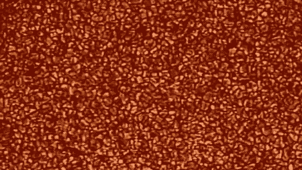 Ячейки Бенара на Солнце