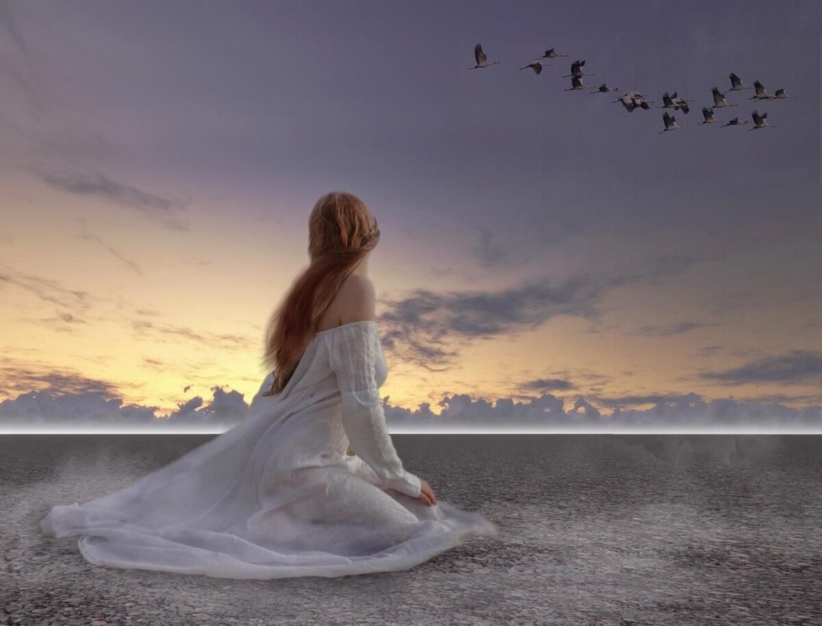 Фото с интернета.