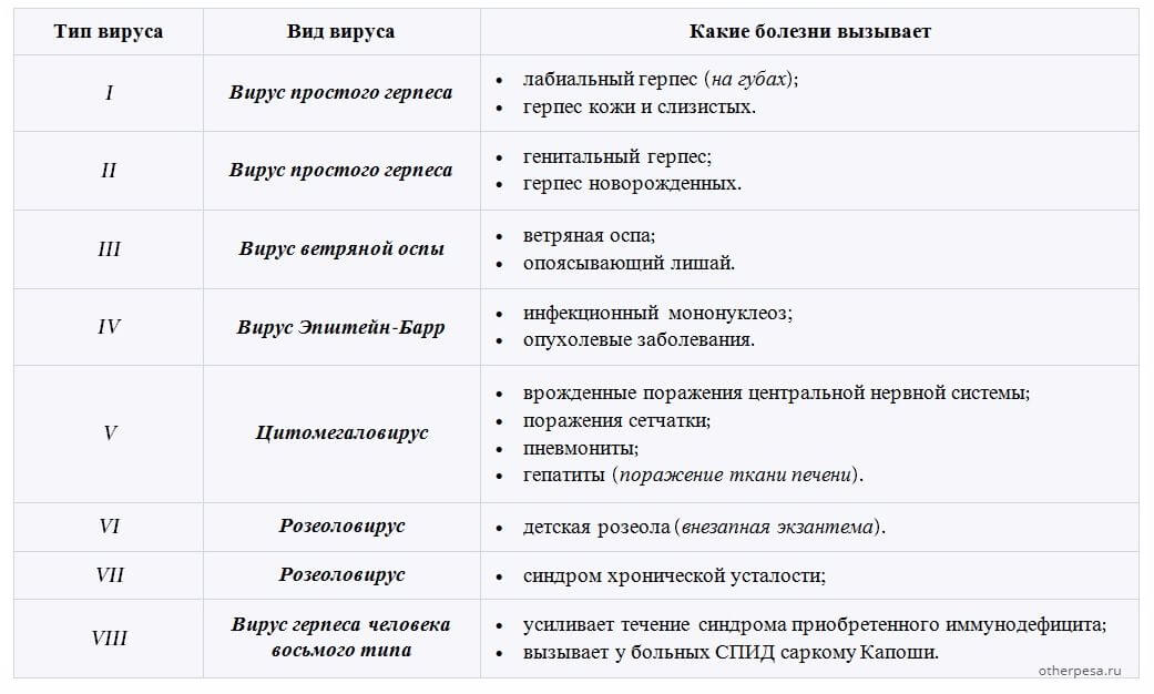 Герпес 1 и 2 типа. Вирус герпеса типы.