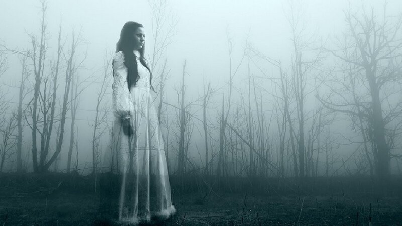 Нежданный гость | МИСТЕРИУМ на Дзене | Дзен