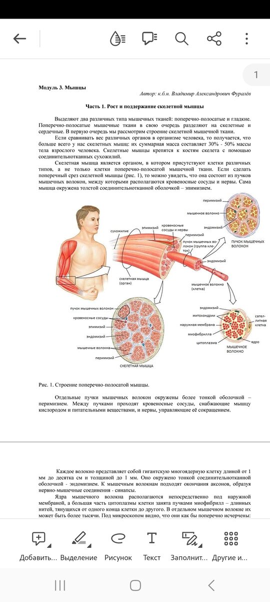 С накаченными девушками: порно видео на заточка63.рф