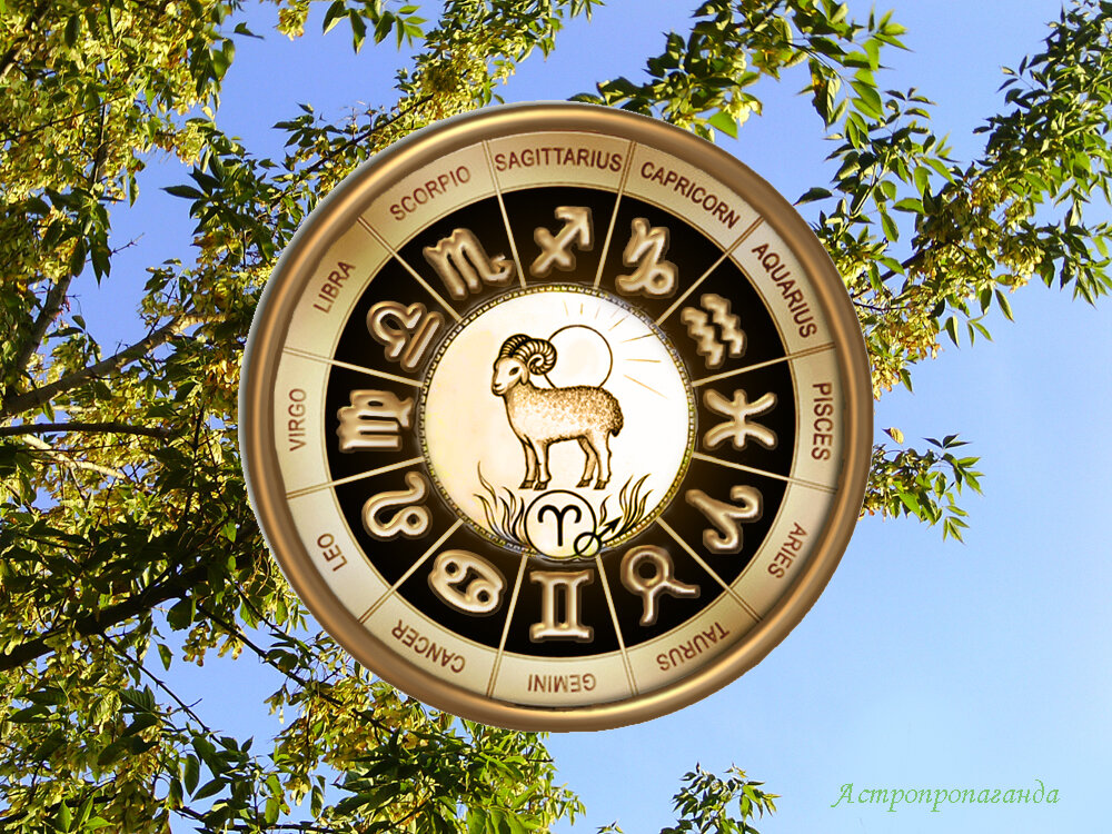 Коллаж Нины Стрелковой. 