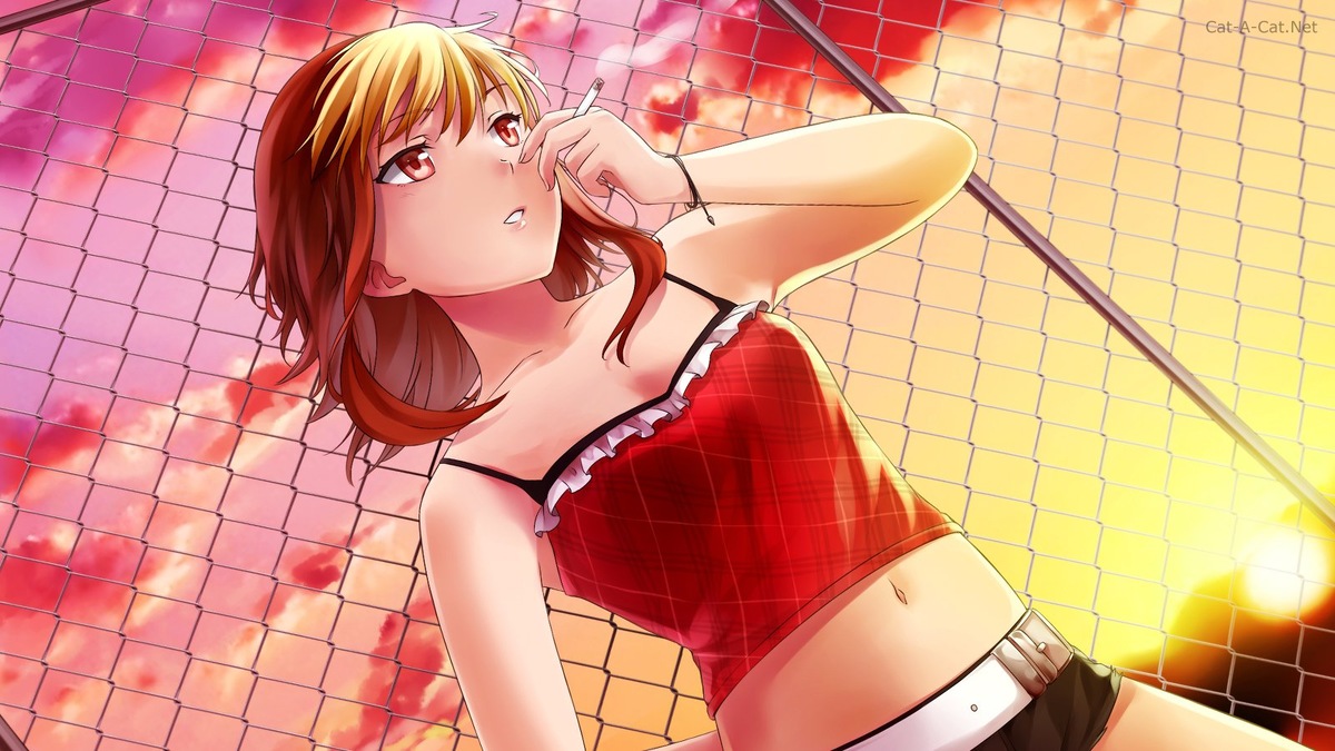 Кадр из игры HuniePop