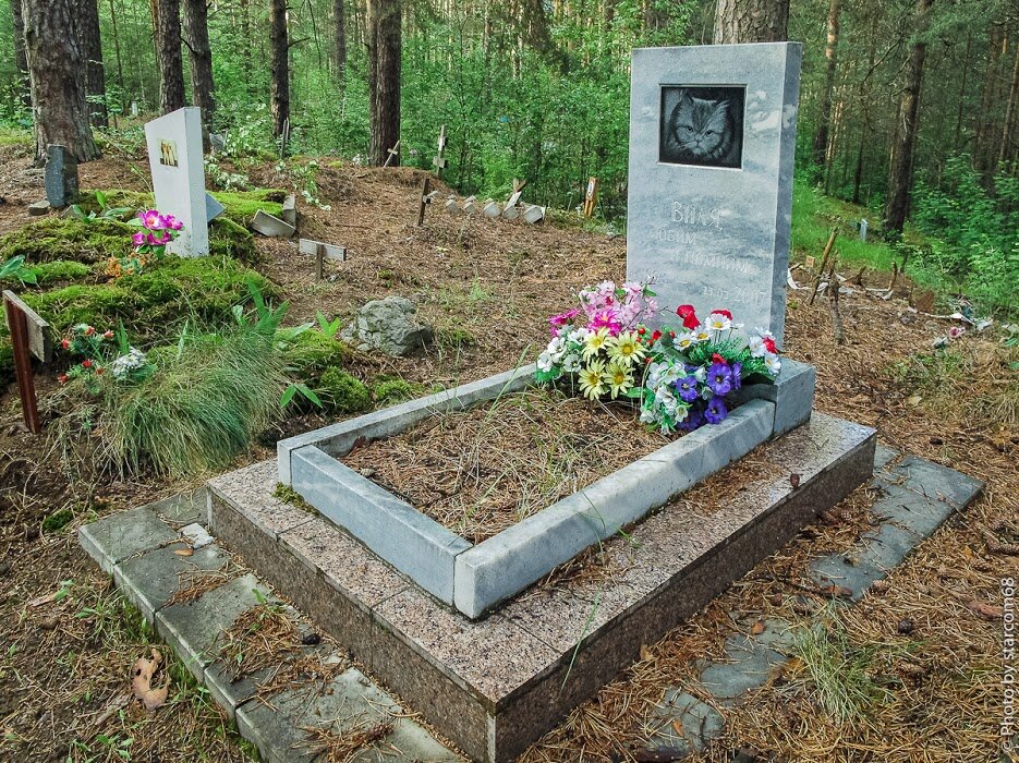 кладбище животных краснодар. кладбище животных екатеринбург. цветковское кладбище животных. кладбище домашних животных. заброшенное кладбище животных.