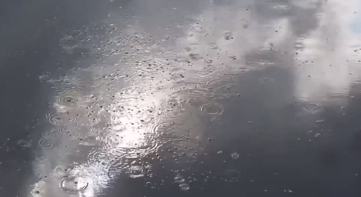 Милые мясные бульбашки Bubbly creek