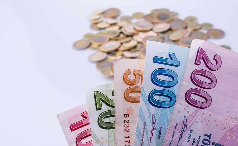 Денежные знаки, турецкая лира 