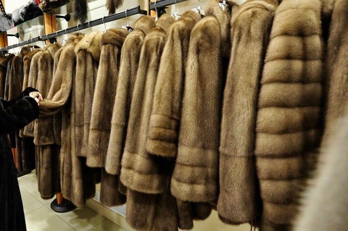 фото с сайта ssudy.ru