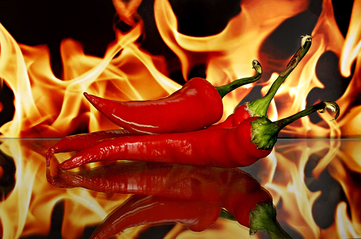 Соленый острый перец-отличное дополнение к мясным блюдам и супам,а так же отличная закуска к столу.