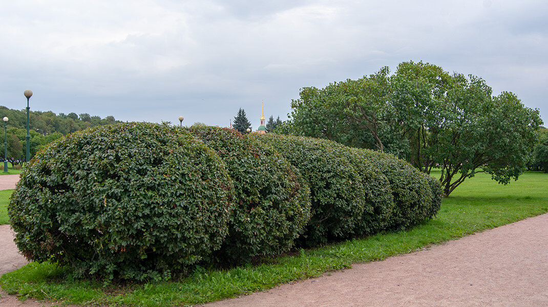 Марсово поле