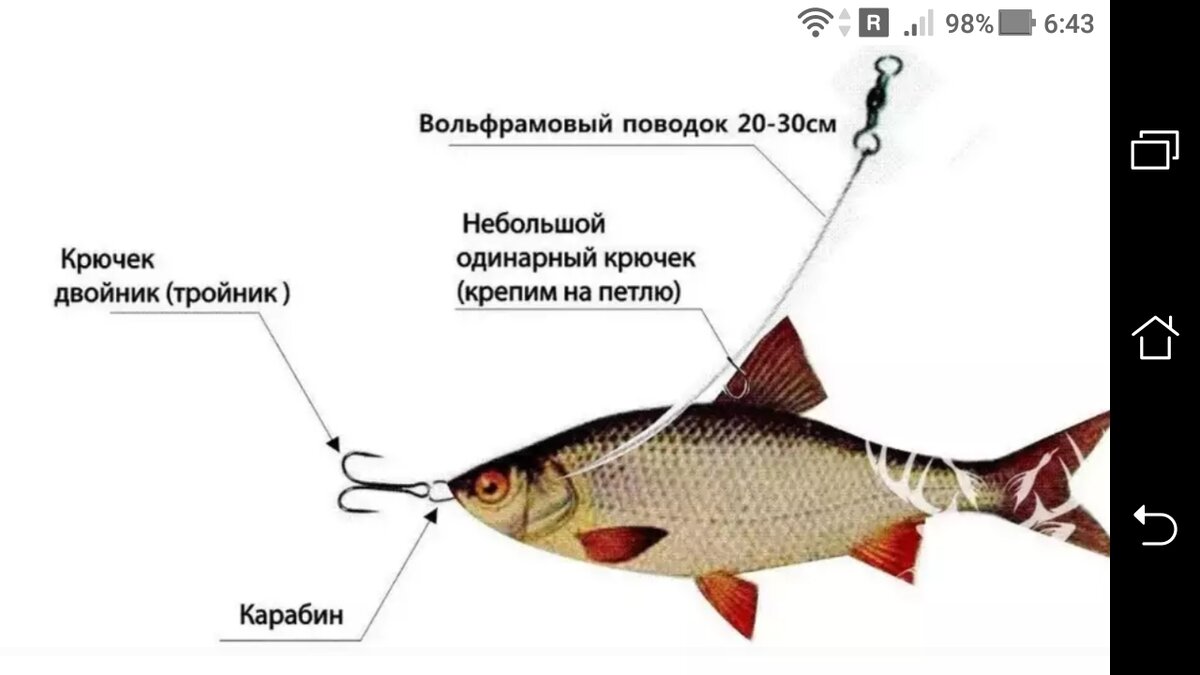 Насадка для рыбалки купить в Екатеринбурге | Fish-маркет