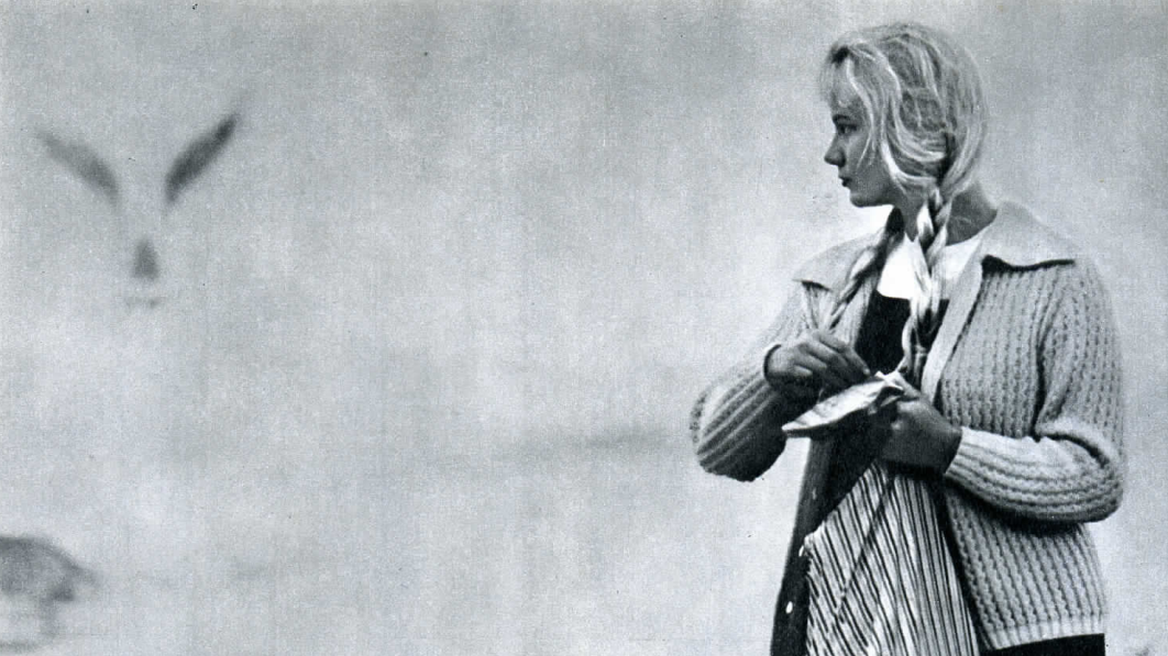 Девушка и чайка. Рижское взморье