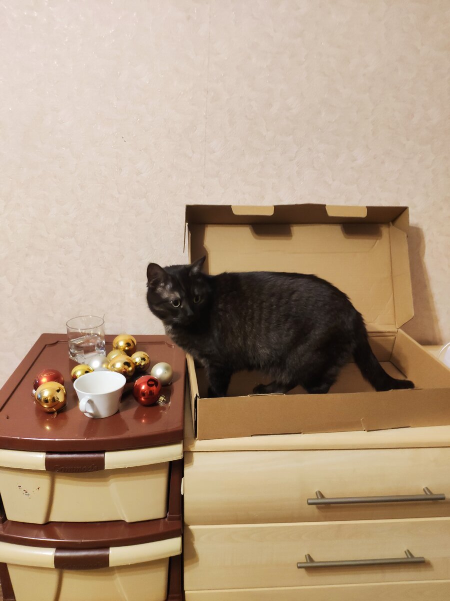 фото из личного архива хозяйки
